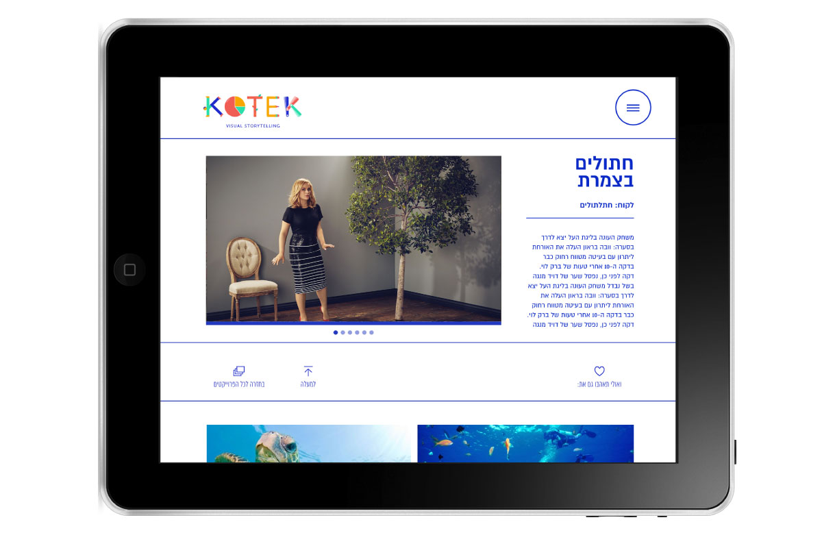 kotek website